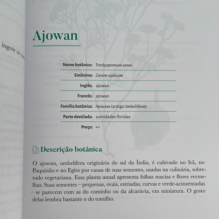 Big Book of Aromatherapy