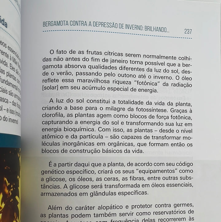 Livro Ensaios sobre aromaterapia holística | Dr Malte Hozzel