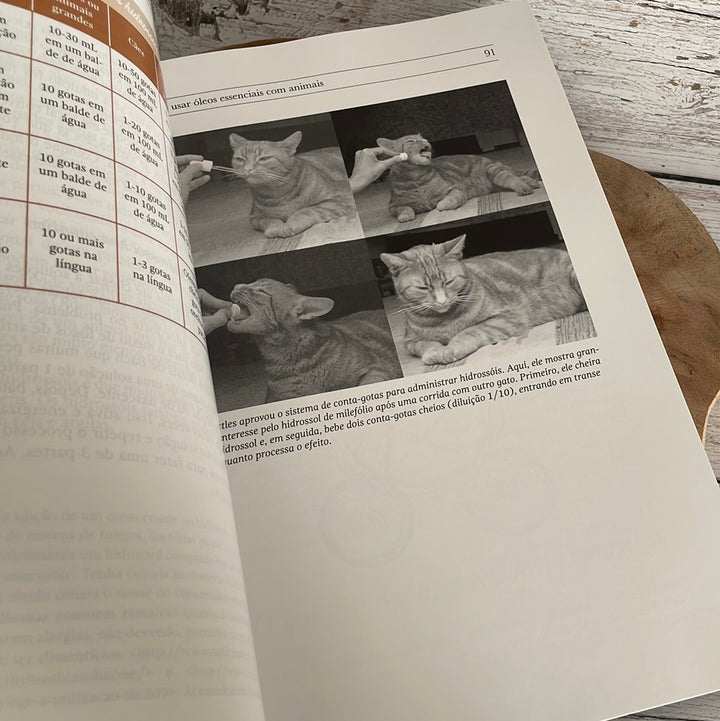 Essential oils for animals book