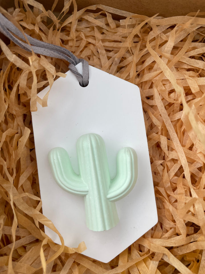 Difusor Passivo Cactus em Cerâmica.