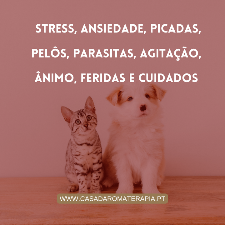 KIT Animais (11 produtos + bolsa)