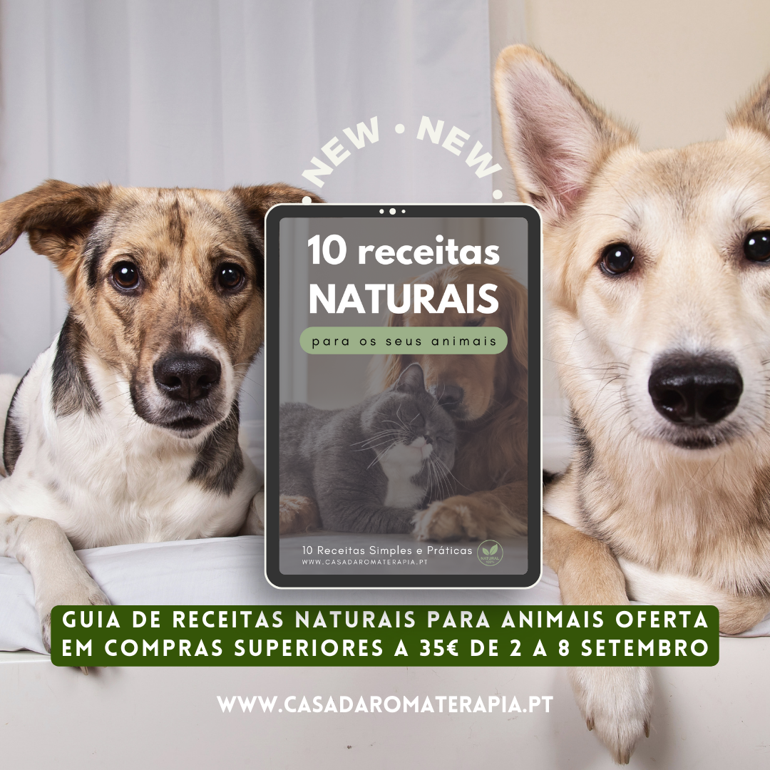 Top 3 Óleos Essenciais: Cães & Gatos