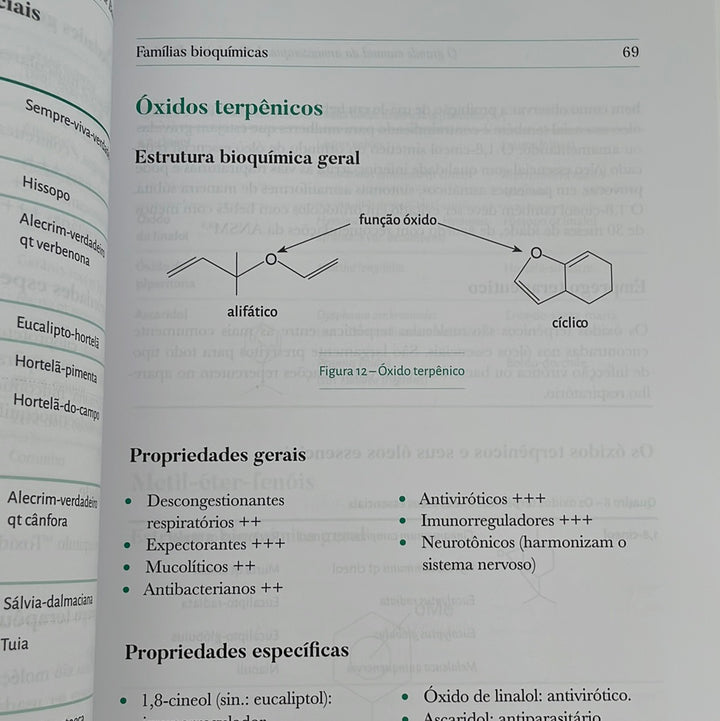 Big Book of Aromatherapy