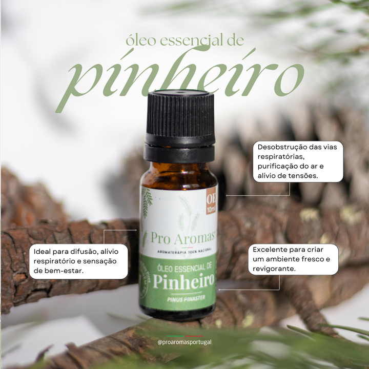 Pine Essential Oil PT BIO
