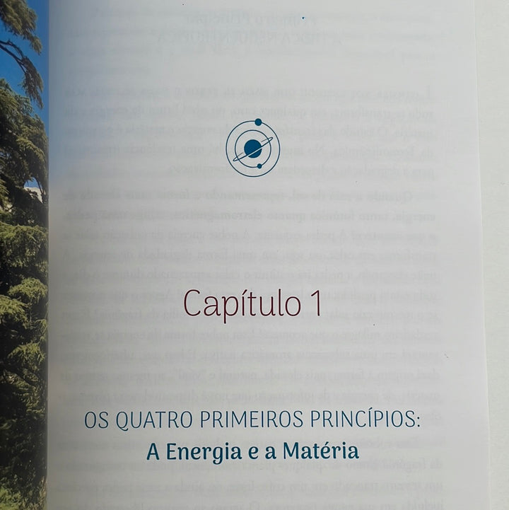 Livro Aromaterapia Quântica | Daniel PÉNOËL