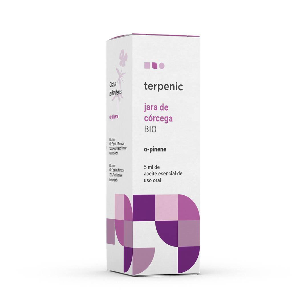 Atlas Cedar Essential Oil (bio) 10ml