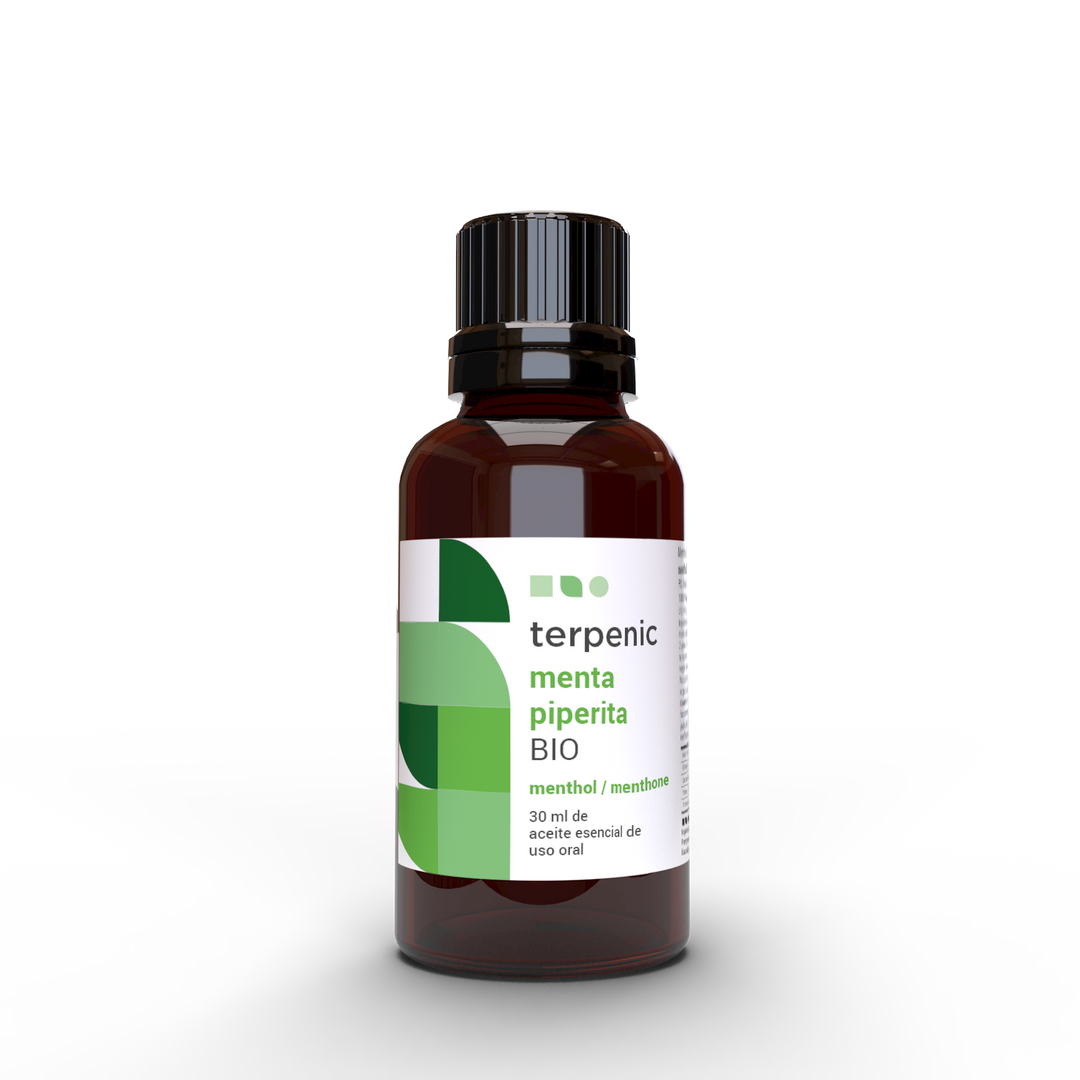 Mint Pennyroyal Essential Oil 10ml