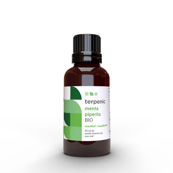 Mint Pennyroyal Essential Oil 10ml