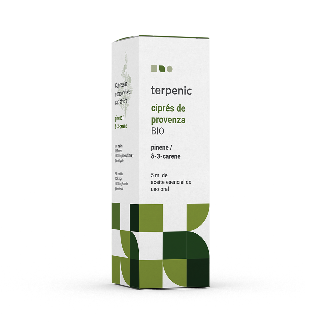 Essential Oil Cypress Provence 5ml 🌿 bio | Cupressus sempervirens