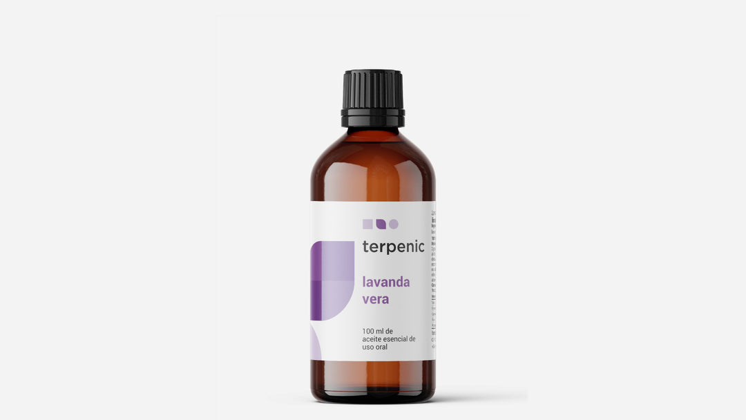 Lavender Essential Oil 10ml 🌿 bio | Lavandula angustifolia