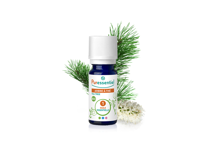 Óleo Essencial de Árvore do Chá BIO 10ml bio | Melaleuca alternifolia (tea tree)