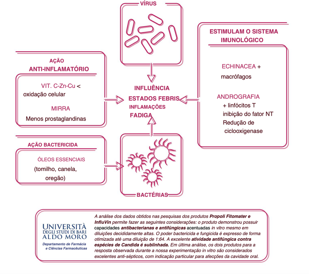 Suplemento natural - Sistema imunitário | Influvin ***