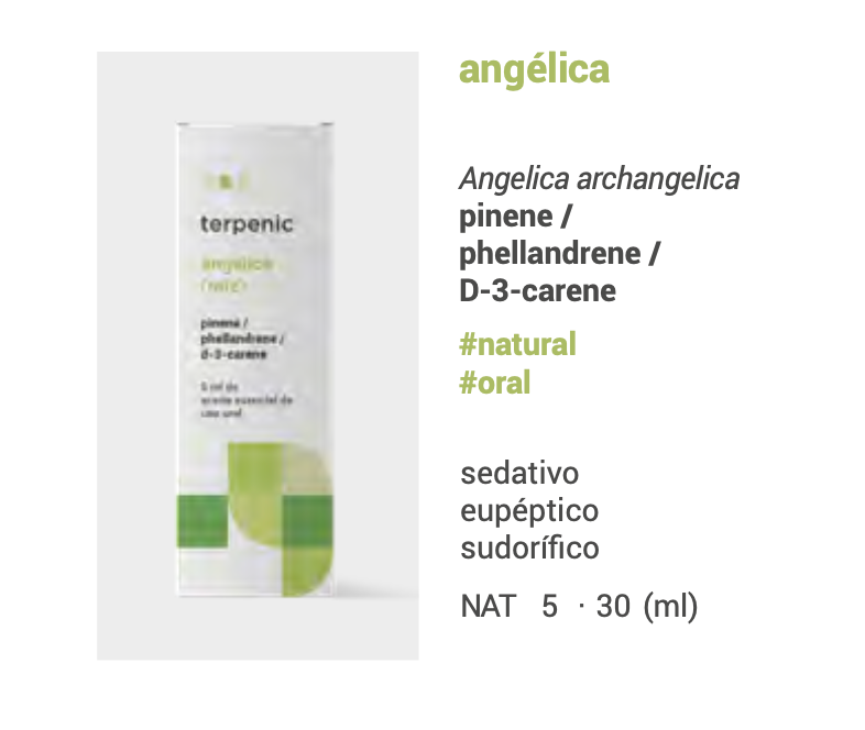 Óleo Essencial Angélica (Raiz) | Angelica archangelica | 5ml .