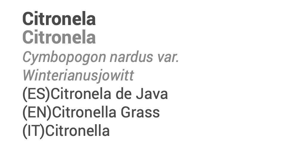 Essential Oil Citronella Java 10ml 🌿 bio | Cymbopogon winterianus