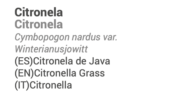 Essential Oil Citronella Java 10ml 🌿 bio | Cymbopogon winterianus
