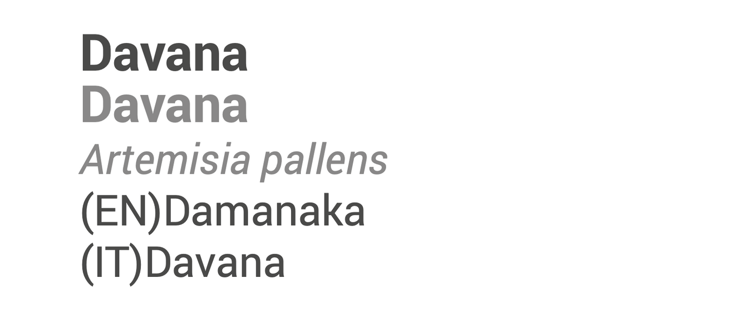 Óleo Essencial Davana | Artemisia pallens | 2ml