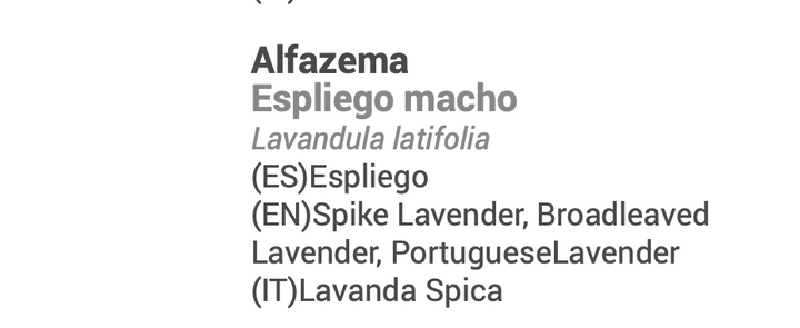 Huile Essentielle de Lavande 10ml 🌿 bio | Lavande latifolia