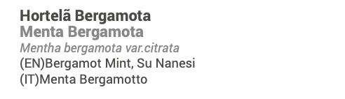 Óleo Essencial Hortelã Bergamota 10ml | Mentha bergamota var.citrata