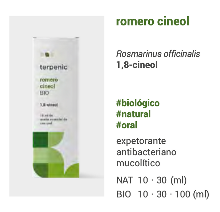 Rosemary Essential Oil qt. camphor (bio) 10ml