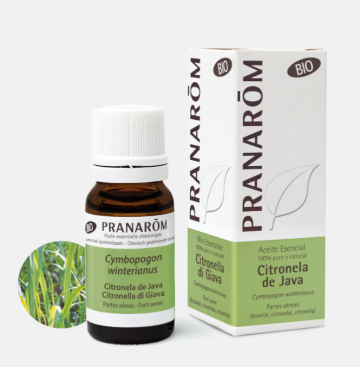 Óleo Essencial Citronela de Java Cymbopogon winterianus 10ml bio