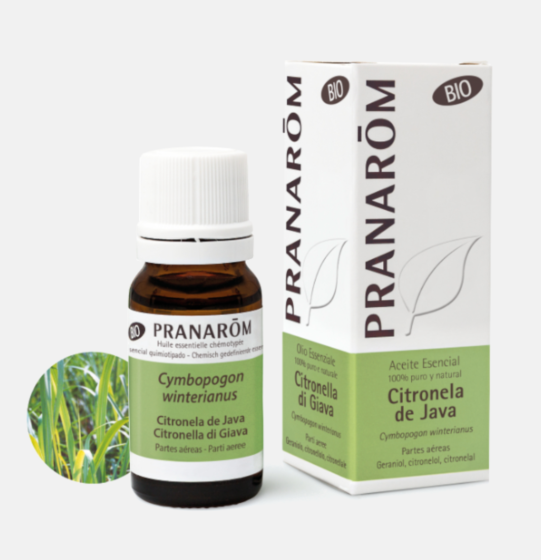 Óleo Essencial Citronela de Java Cymbopogon winterianus 10ml bio