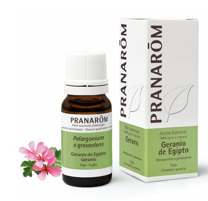 Óleo Essencial Gerânio do Egito 10ml bio