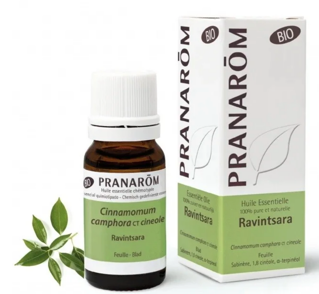 Óleo Essencial Ravintsara qt cineol 10ml bio