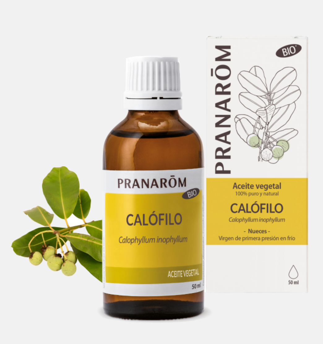 Óleo Vegetal Calófilo (Tamanu) | Calophyllum inophyllum | BIO | 50ml