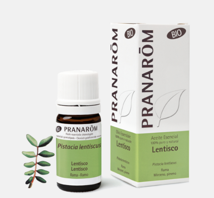 Óleo Essencial Lentisco Pistacia lentiscus  BIO 5ml