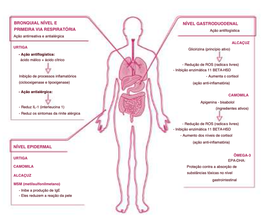 Suplemento Natural - Alergias e Imunidade | ALLERGVIN 60cps