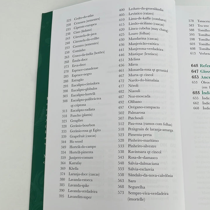 Big Book of Aromatherapy