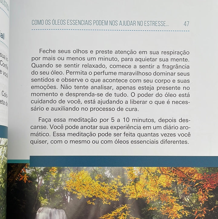 Livro Ensaios sobre aromaterapia holística | Dr Malte Hozzel