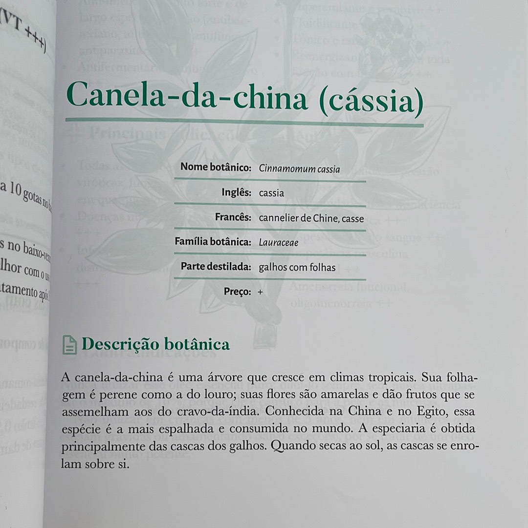 Big Book of Aromatherapy