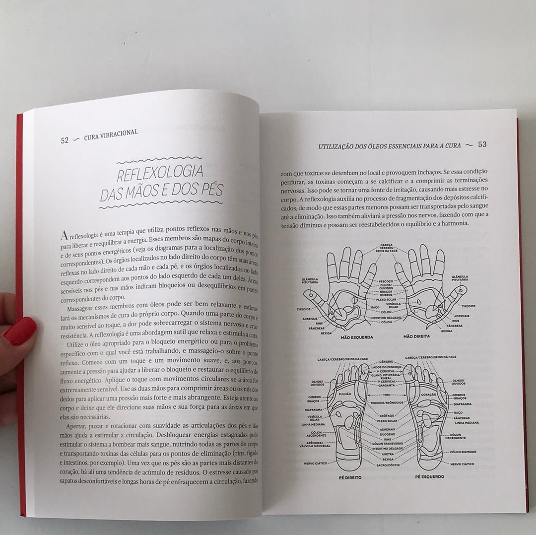 Vibrational Healing with Essential Oils book