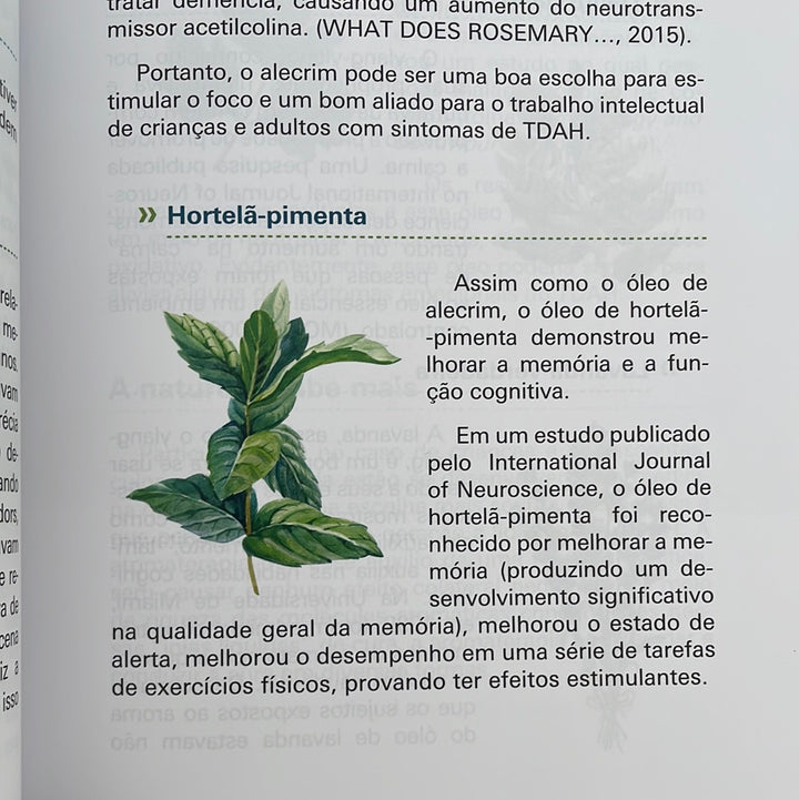 Livro Ensaios sobre aromaterapia holística | Dr Malte Hozzel