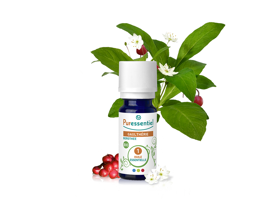 Óleo Essencial de Gualtéria 10ml bio | Gaultheria fragrantissima.