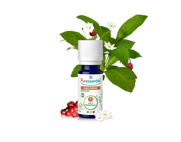 Óleo Essencial de Gualtéria 10ml bio | Gaultheria fragrantissima.