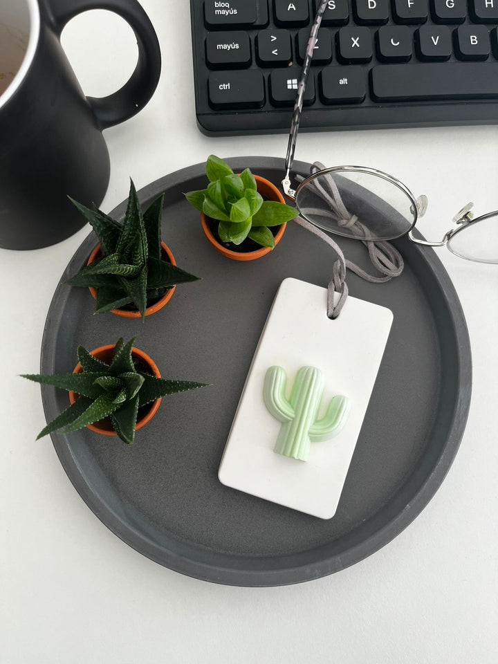 Difusor Passivo Cactus em Cerâmica.