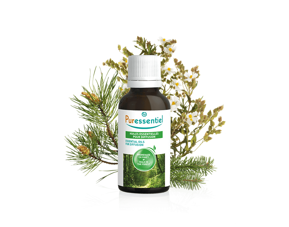 Mistura Passeio na Floresta para Difusão - 30ml.