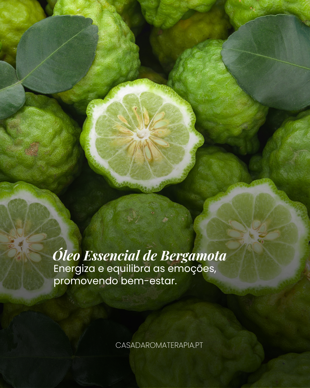 Top 3 Óleos Essenciais: Energéticos