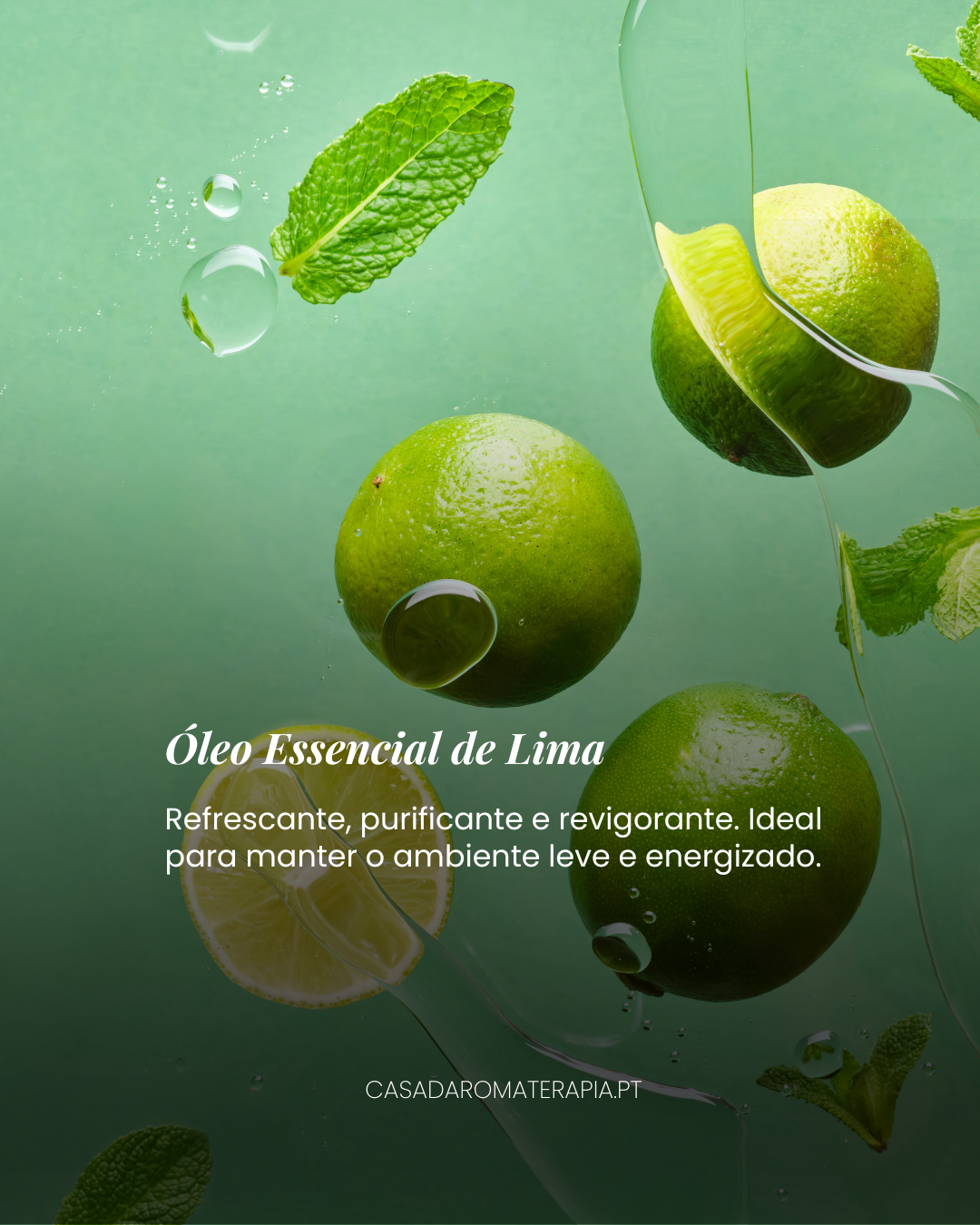 Top 3 Óleos Essenciais: Férias no Frasco