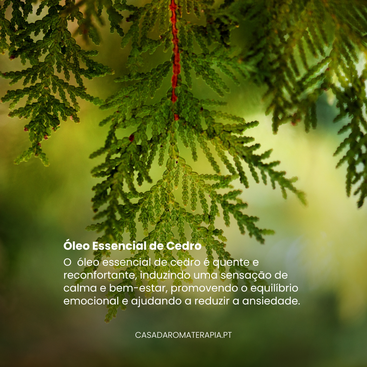 Top 3 Óleos Essenciais: Deixar de Fumar