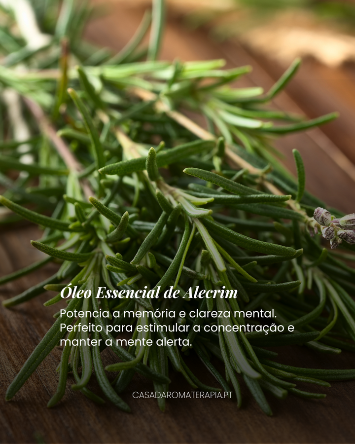 Top 3 Óleos Essenciais para Concentração