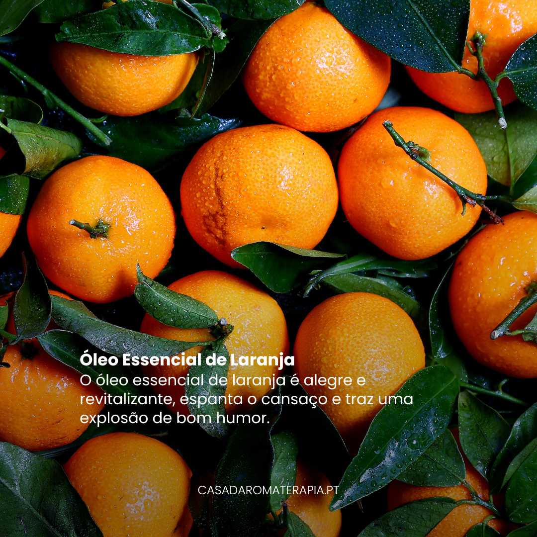 TOP 3 Óleos Essenciais para Renovar Energias