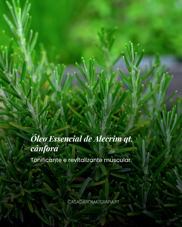 Top 3 Óleos Essenciais: Pernas Leves