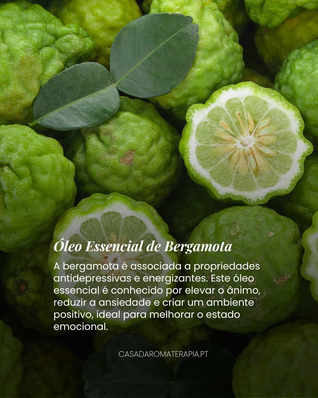 Top 3 Óleos Essenciais: Saúde Emocional