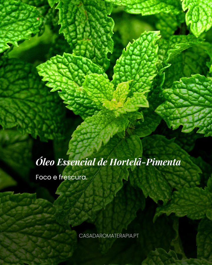 Top 3 Óleos Essenciais: Energia e Vitalidade