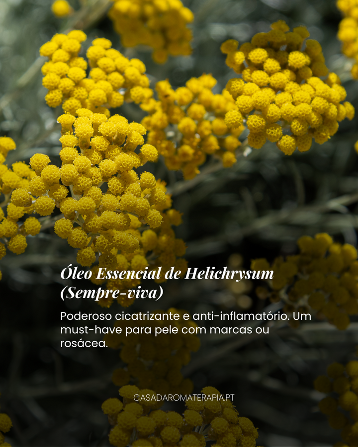 Top 3 Óleos Essenciais: Regeneração da Pele