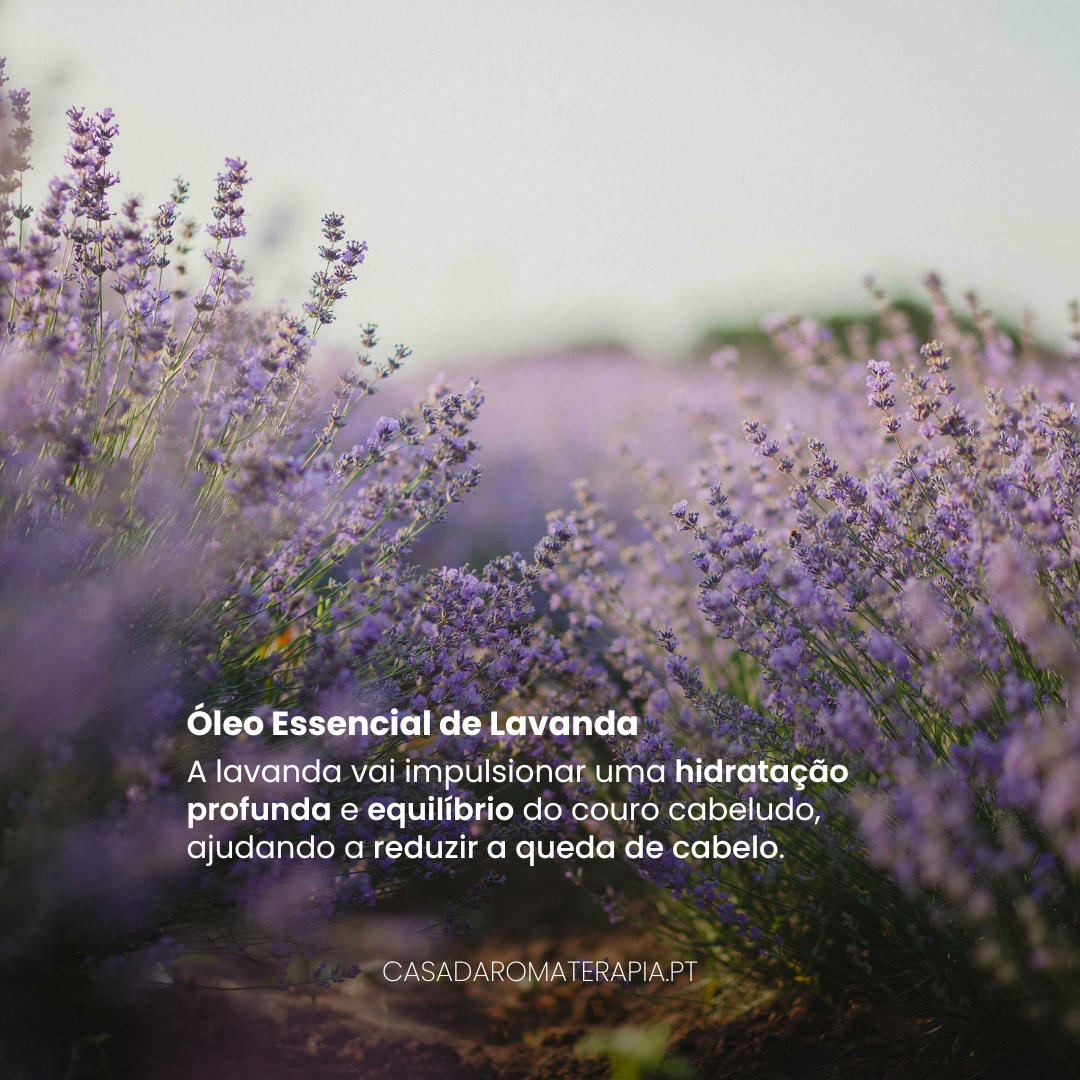 Top 3 Óleos Essenciais: Saúde Capilar