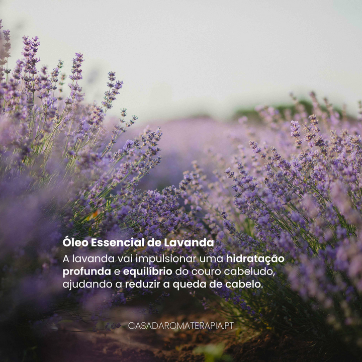 Top 3 Óleos Essenciais: Saúde Capilar